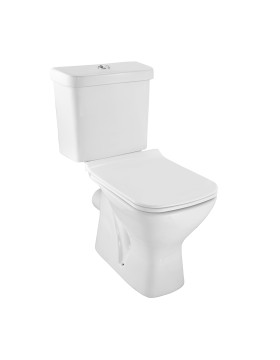 Bowl with Cistern for Coupled WC