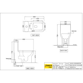 Rimless Single Piece WC