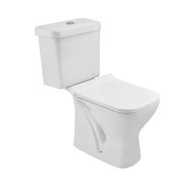 Bowl with Cistern for Coupled WC