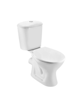 Bowl with Cistern for Coupled WC