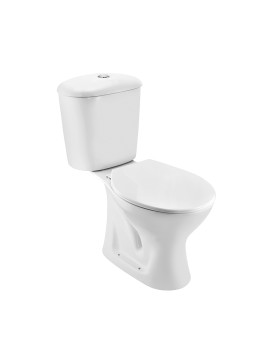 Bowl with Cistern for Coupled WC