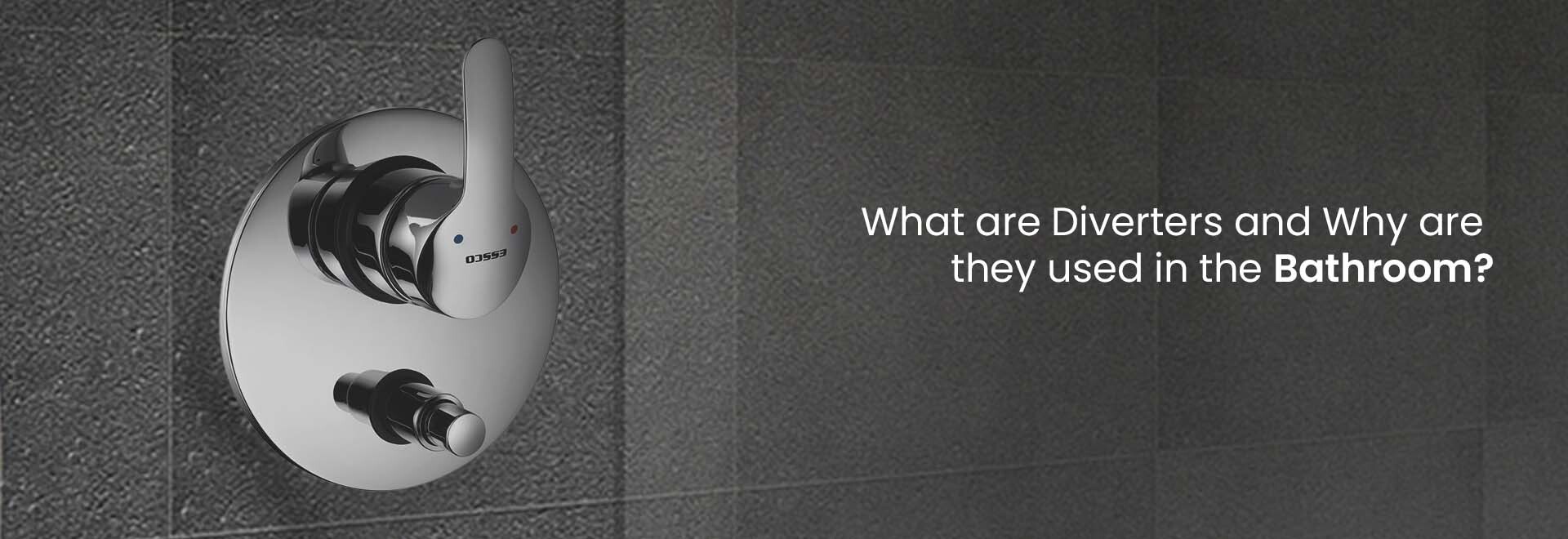 What are Diverters and Why are they used in the Bathroom?